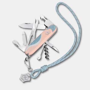 چاقو ویکتورینوکس مدل Victorinox1.3909E221